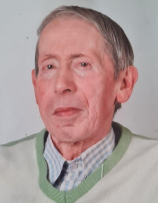 Enrico Michelini