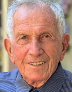 Fernando Bridi