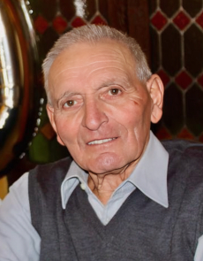 Vigilio Marini