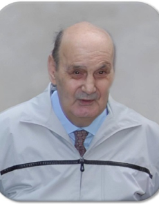 Ing. Franco Albertini