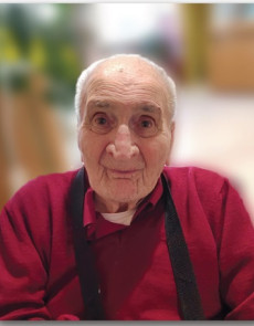 Ruggero Marcomini