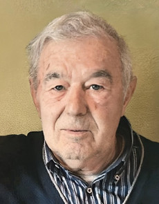 Umberto Vescovi