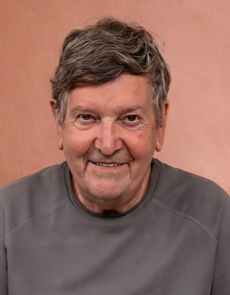 Licinio Malcotti