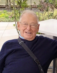 Vittorio Maino