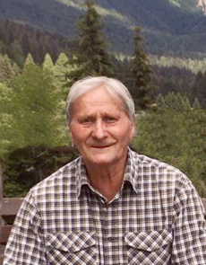 Lino Vidi