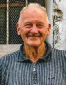 Michele Cemin