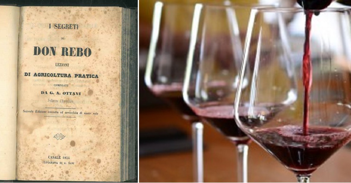 Un vitigno nato forse per scherzo, ma Rebo Rigotti è stato un pioniere ...