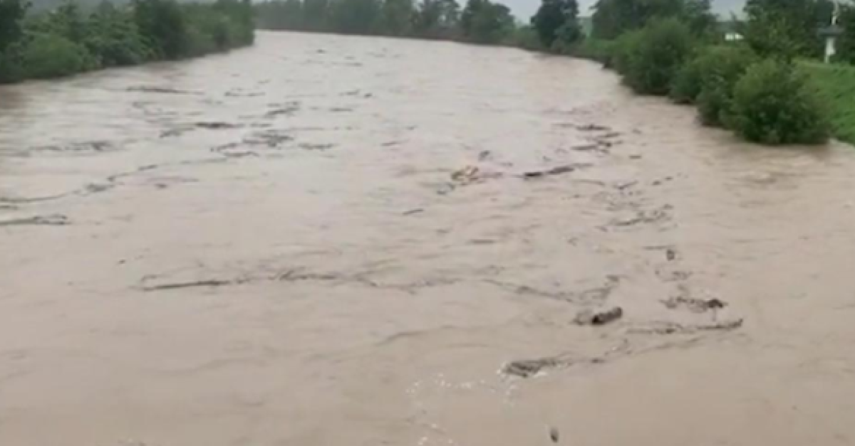 Si tuffa nell'Adige in piena per salvare un uomo che lo aggredisce in ...