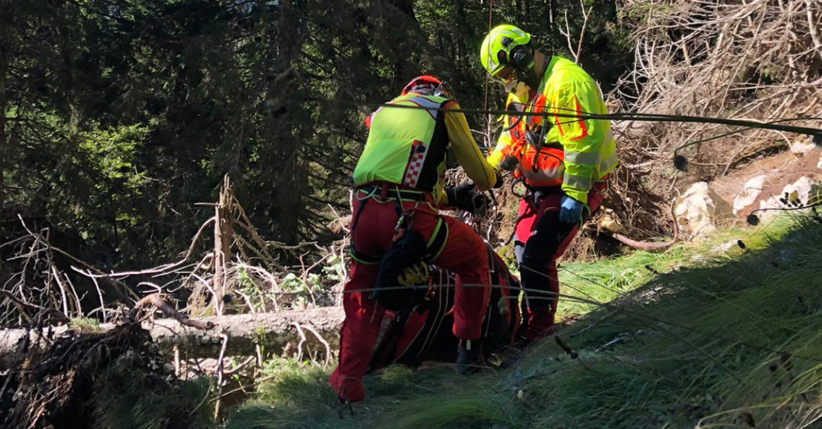 Fungaiolo scivola tra gli alberi schiantati e si ferisce alla schiena ...