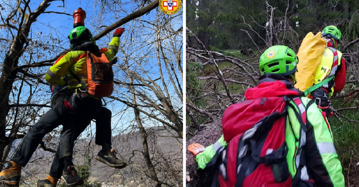 A 83 anni scivola dal sentiero e ruzzola nel bosco. Gli amici non ...