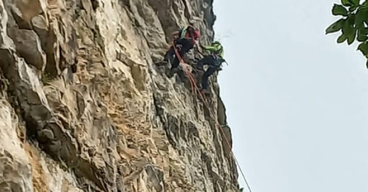 Precipita per una quindicina di metri dalla parete e sbatte contro la ...