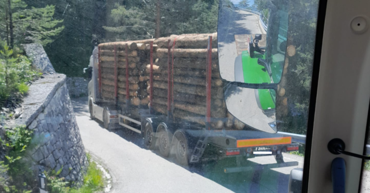 Camion Trasporto Tronchi Mercedes Benz Arocs 3669 - Bruder - La Giraffa - Foto 9