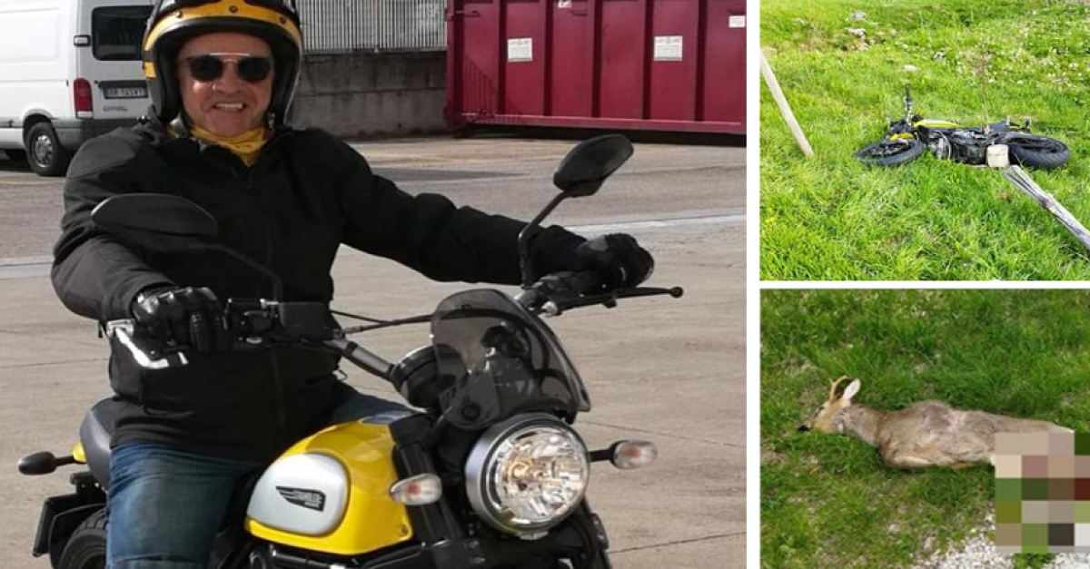 Con la Ducati centra un capriolo: muore Arrigo Zanella. I due compagni