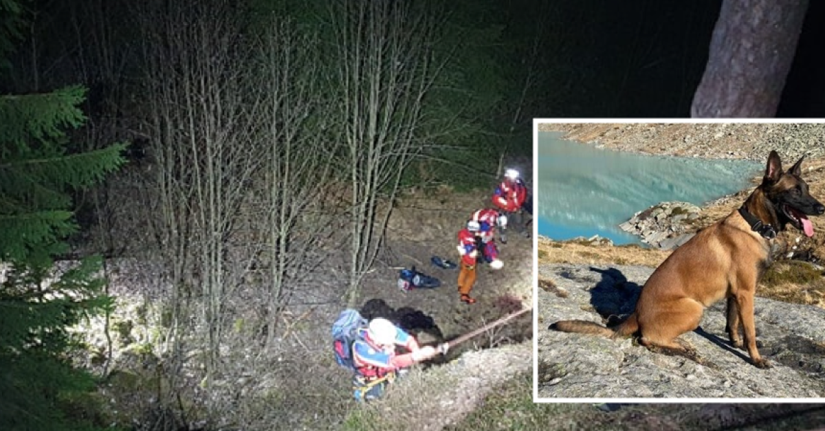 Provoca un incidente stradale e scappa nel bosco al buio (e con ...