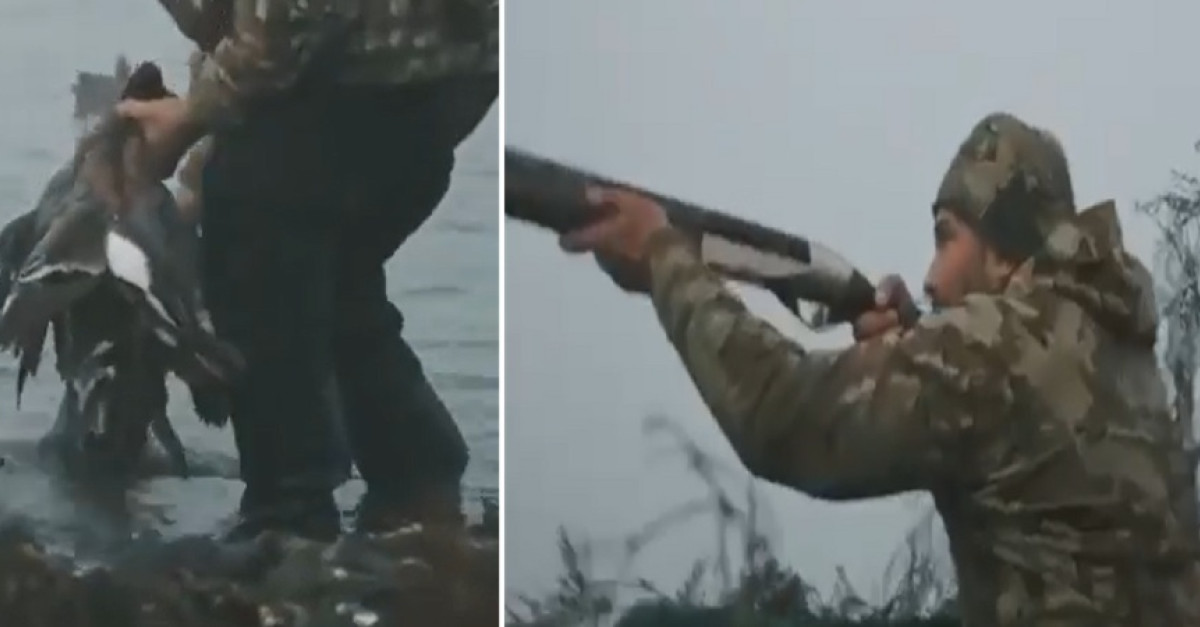 Trump Junior Denunciato Per La Caccia Di Specie Protette Nella Laguna