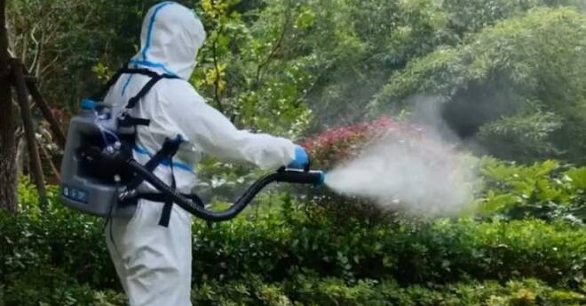 Schioのデング熱の症例、断熱および消毒手順に感染しています。一方、ベネチアの4つの州では、寄付の制限が始まります