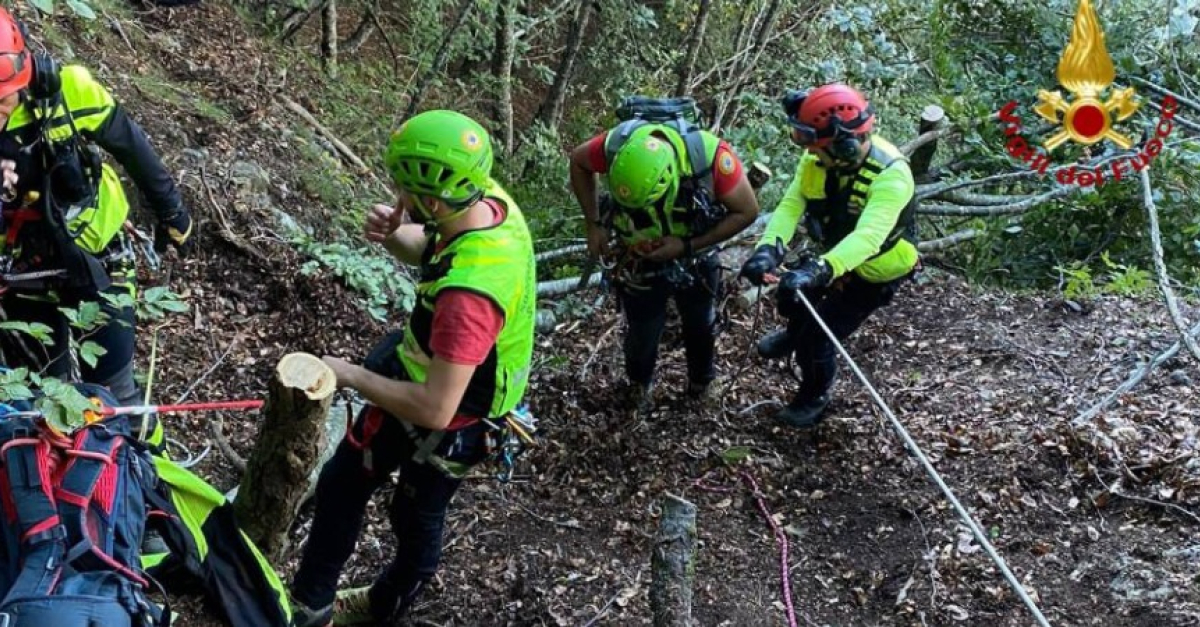 Tragedia nei boschi, esce per cercare funghi e scivola per decine di ...