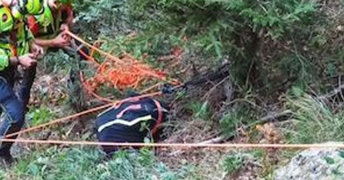 Tremendo incidente nei boschi, 16enne scivola per oltre 100 metri e ...