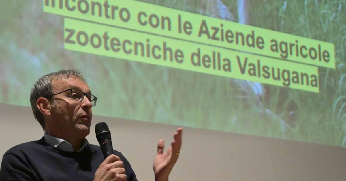Lupi, Failoni: 