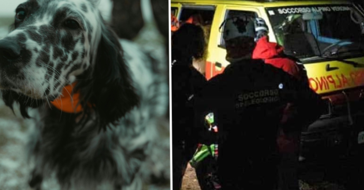 Cane da caccia precipita per decine di metri in un canalone ma il ...