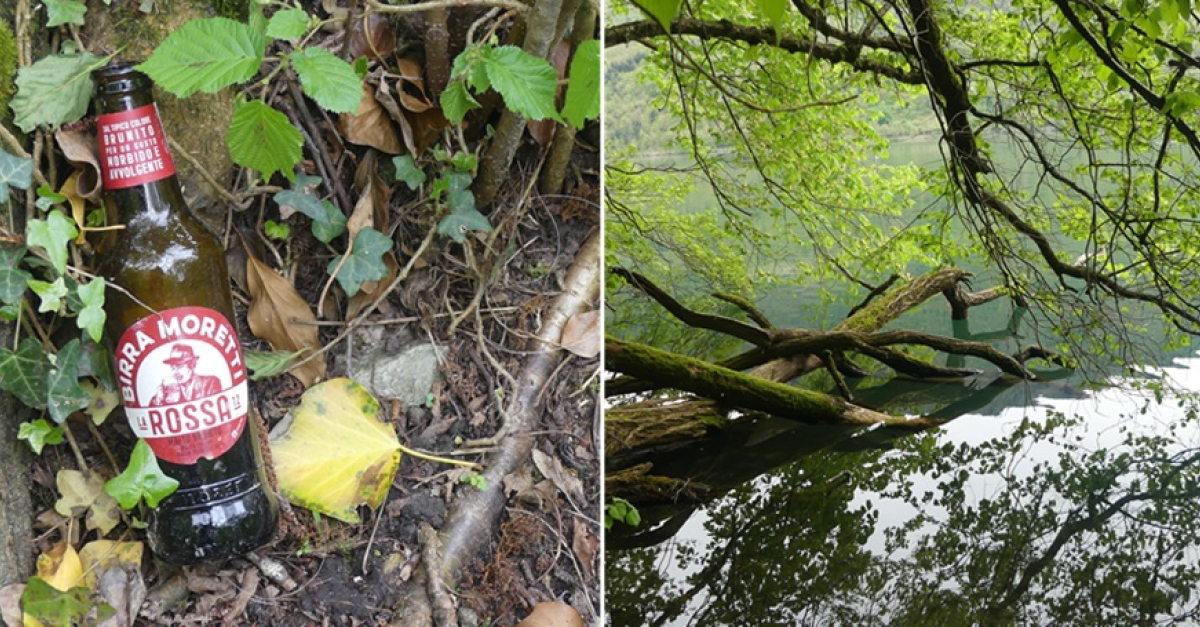 Degrado nella Riserva naturale del lago di Levico, con rifiuti e abbandono, Comitato e Wwf chiedono gestione e rispetto