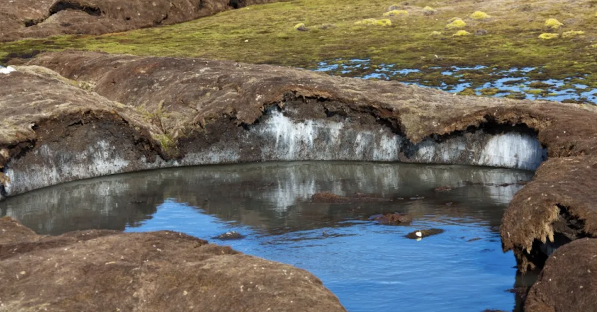 Permafrost in rapido disgelo, emissioni di gas serra aumentano. Soggetti e ambiente in pericolo