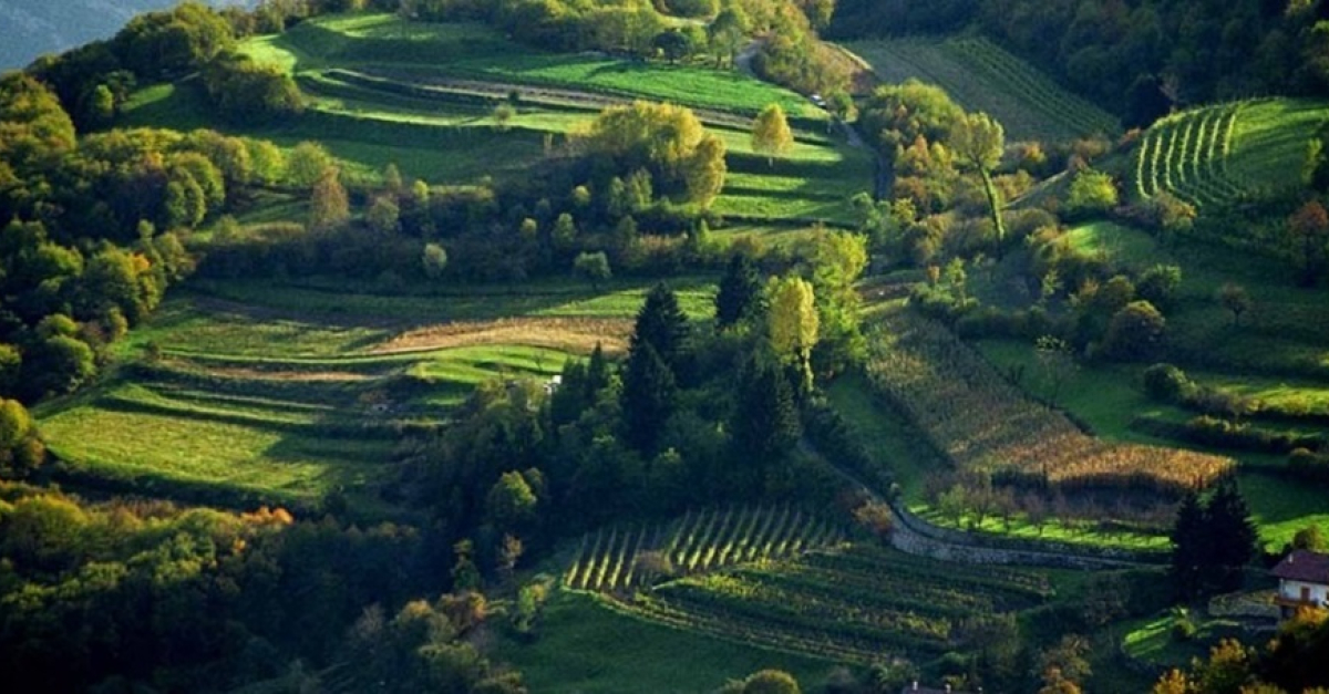 Un paesaggio rurale in alta quota con pascoli e strutture per l'approvvigionamento idrico, in una valle alpina