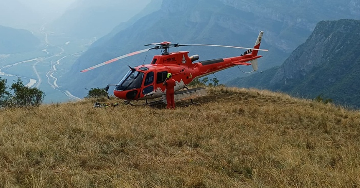 Vitello precipita in bosco a causa di tuoni, intervento con elicottero per il recupero