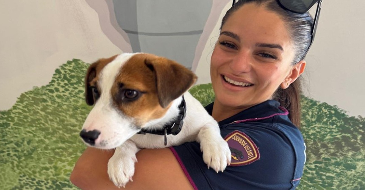 Cucciolo in fin di vita dopo aver mangiato funghi tossici, la polizia lo scorta in clinica