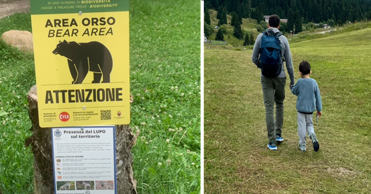 www.ildolomiti.it