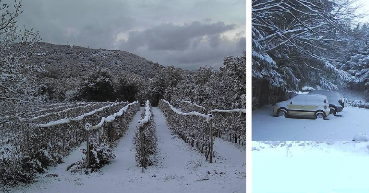 Neve in Sardegna, anche a quote inferiori agli 800 metri, e in arrivo in  Appennino: dalle isole al Gran Sasso, l'Italia si imbianca - L'AltraMontagna