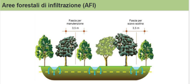 Schematizzazione di una AFI