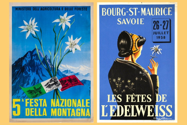 A sinistra, il manifesto della festa della montagna del 1956 (Lamberto Barbi); a destra, festa della stella alpina del 1958 (Sabatier)