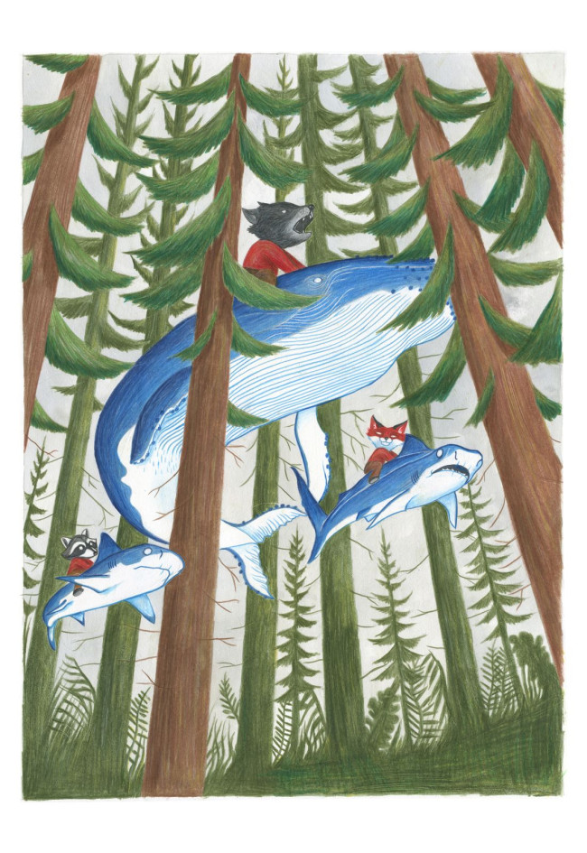 Un disegno di Pietro Nicolaucich