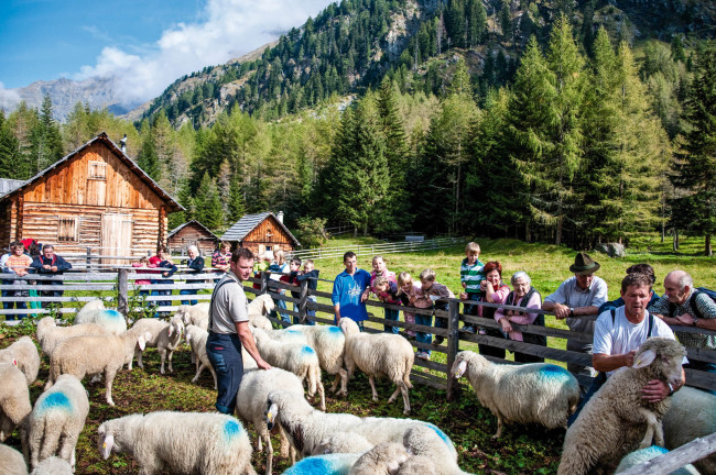 Allevatori nelle Alpi - Licenza Creative Commons